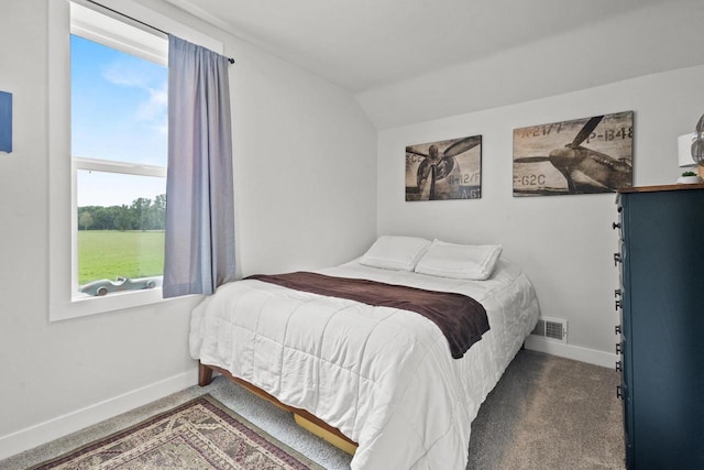 N6965 Thede Rd, Black Creek, WI 54106 - carpeted bedroom with multiple windows and lofted ceiling