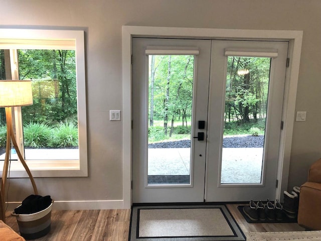 N4857 Oak Valley Ln, Elroy, WI 53929 - entryway featuring french doors, healthy amount of natural light, and wood finished floors