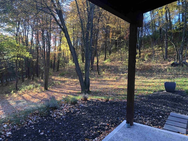 N4857 Oak Valley Ln, Elroy, WI 53929 - view of yard