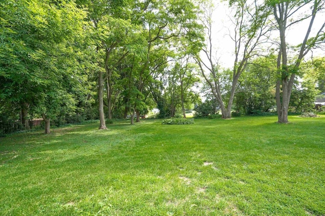 2743 Bluebird Ln, Cottage Grove, WI 53527 - view of grassy yard