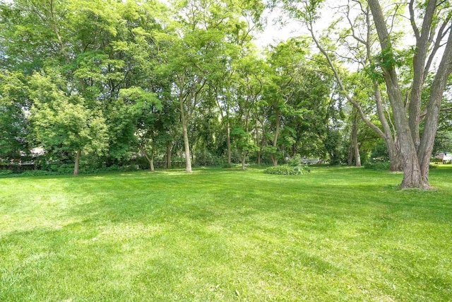 2743 Bluebird Ln, Cottage Grove, WI 53527 - view of grassy yard