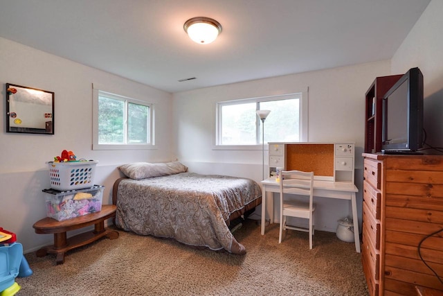 2743 Bluebird Ln, Cottage Grove, WI 53527 - bedroom featuring carpet floors