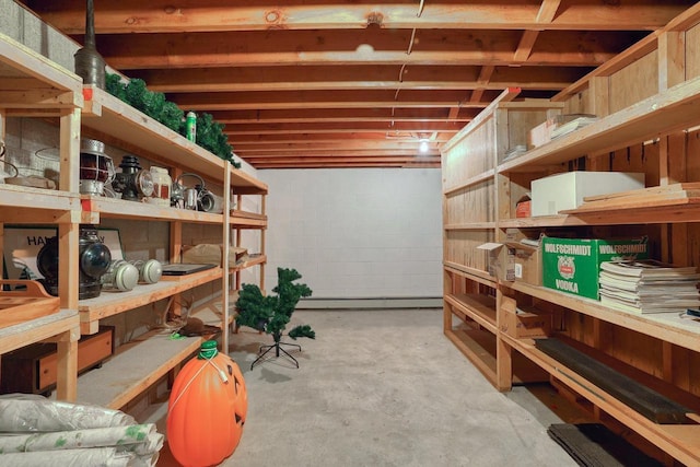 627 W Wisconsin St, Palmyra, WI 53156 - view of storage area