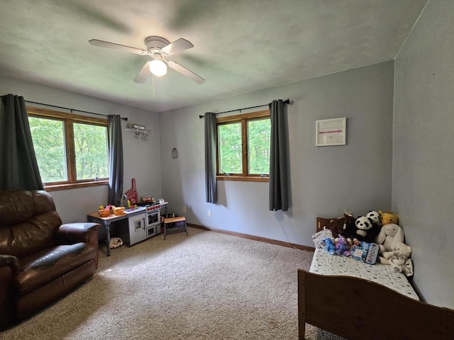 200890 Robin Rd, Marshfield, WI 54449 - living area with healthy amount of natural light, carpet flooring, and a ceiling fan