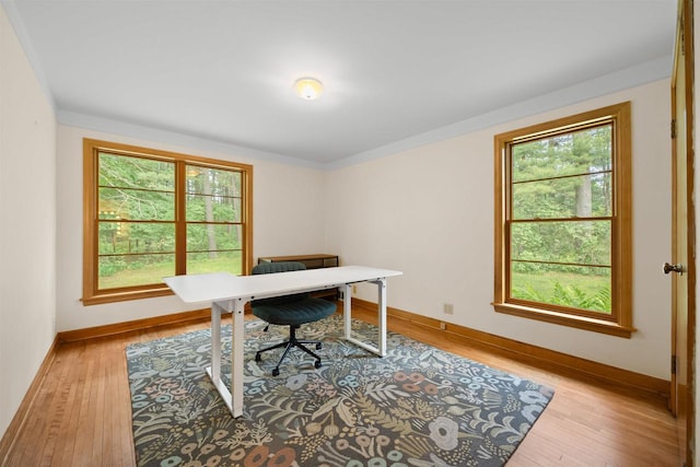 452 Woodland Dr, Wisconsin Rapids, WI 54494 - office featuring light wood-style floors and baseboards