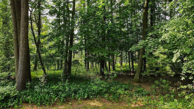452 Woodland Dr, Wisconsin Rapids, WI 54494 - view of wooded area