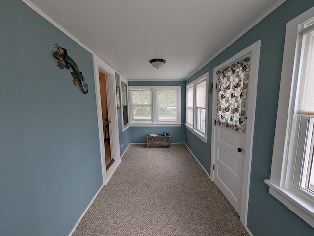 219 Guenther St, Oshkosh, WI 54902 - unfurnished sunroom featuring crown molding and carpet