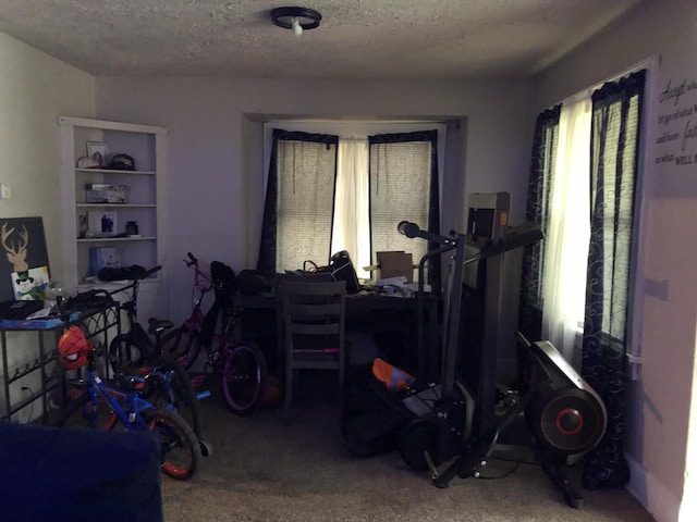 3716 N Dr William Finlayson St, Milwaukee, WI 53212 - miscellaneous room featuring carpet flooring and a textured ceiling