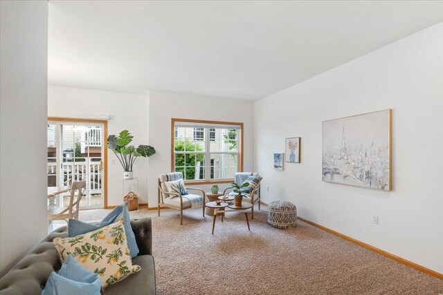 3869 Maple Grove Dr, Madison, WI 53719 - living room featuring carpet flooring and baseboards