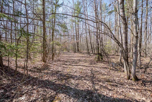 6671 Miller Rd, Abrams, WI 54101