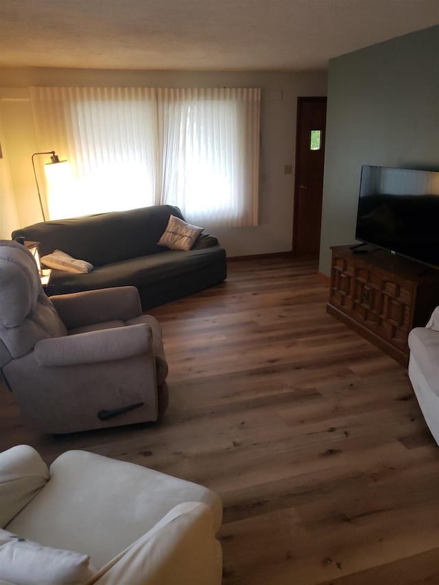 809 N 5th Ave, Wausau, WI 54401 - living room with wood finished floors