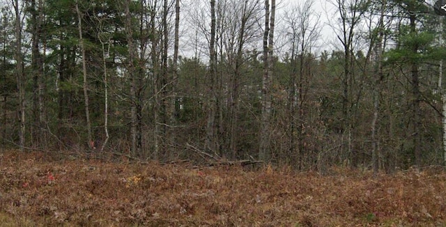 LT0 N Reppert Rd, Exeland, WI 54835