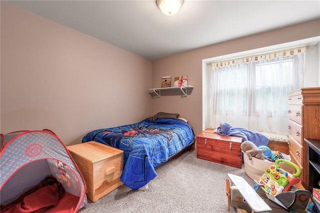 10525 Voight Rd, Fall Creek, WI 54742 - view of carpeted bedroom