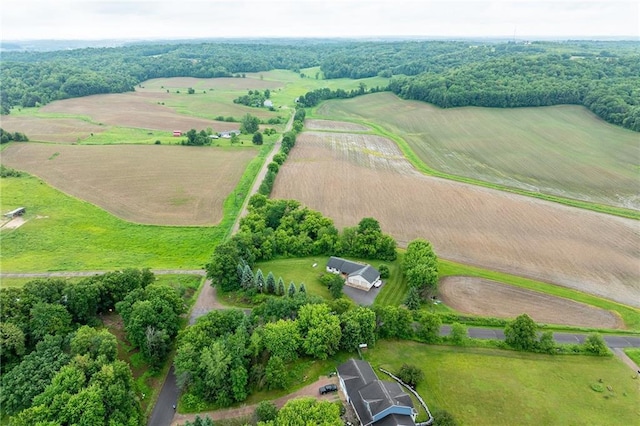 10525 Voight Rd, Fall Creek, WI 54742 - aerial view of sparsely populated area