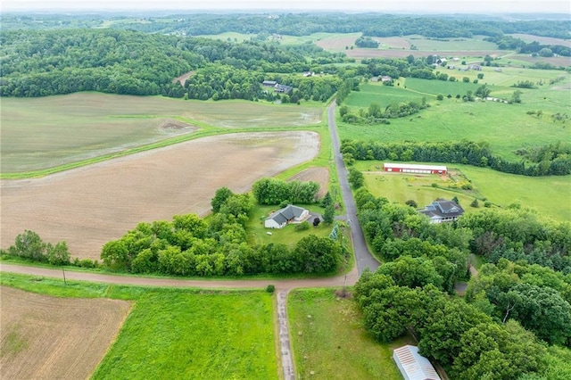10525 Voight Rd, Fall Creek, WI 54742 - view of rural area