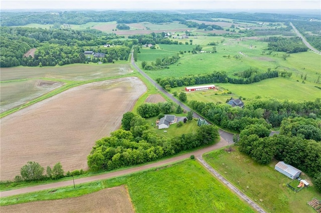 10525 Voight Rd, Fall Creek, WI 54742 - view of rural area