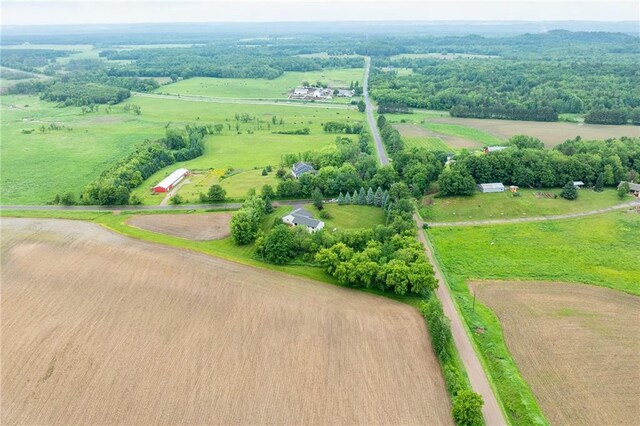 10525 Voight Rd, Fall Creek, WI 54742 - view of rural area with agricultural land
