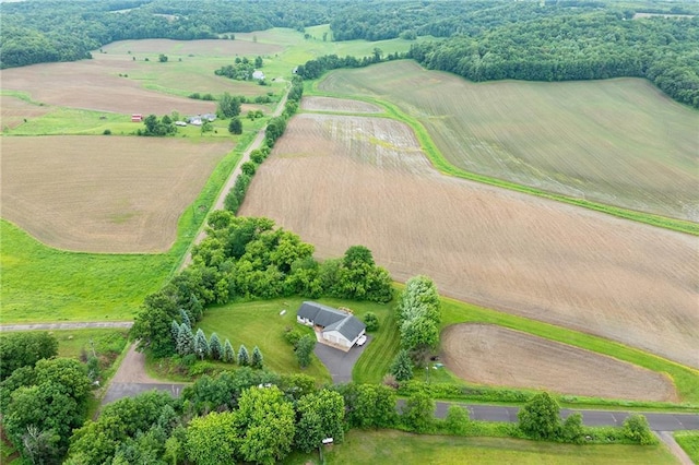 10525 Voight Rd, Fall Creek, WI 54742 - overview of rural landscape