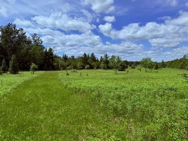 State Highway 55, White Lake, WI 54491