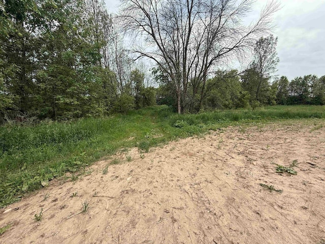8478 N Brown County Line Rd, Pulaski, WI 54162 - view of woods
