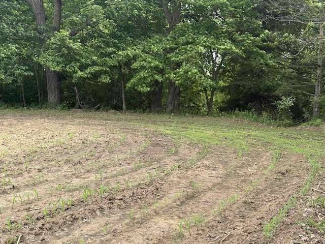 8478 N Brown County Line Rd, Pulaski, WI 54162 - view of woods