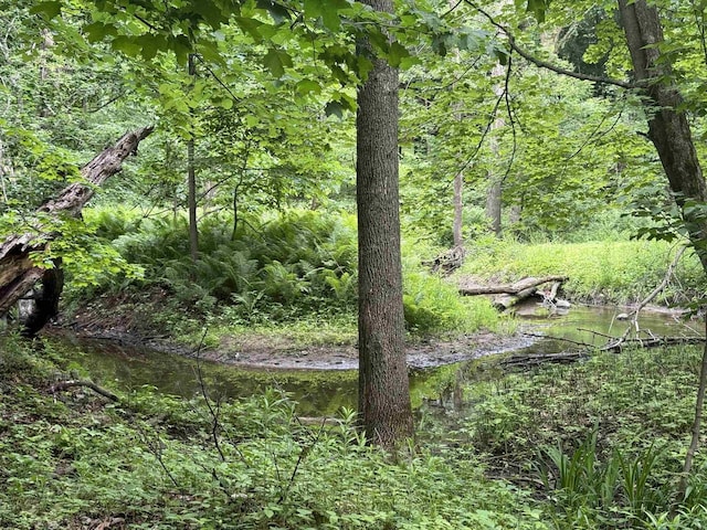 8478 N Brown County Line Rd, Pulaski, WI 54162 - view of tree filled area
