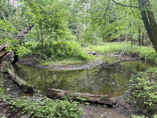 8478 N Brown County Line Rd, Pulaski, WI 54162 - water view featuring a heavily wooded area