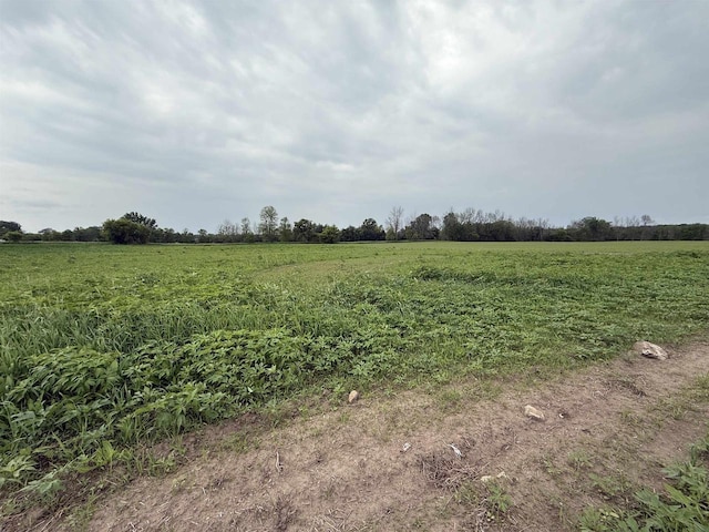 8478 N Brown County Line Rd, Pulaski, WI 54162 - view of undeveloped land featuring rural landscape