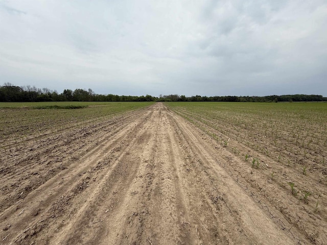 8478 N Brown County Line Rd, Pulaski, WI 54162 - view of dirt / gravel road with a rural view