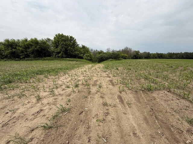 8478 N Brown County Line Rd, Pulaski, WI 54162 - view of undeveloped land featuring rural landscape