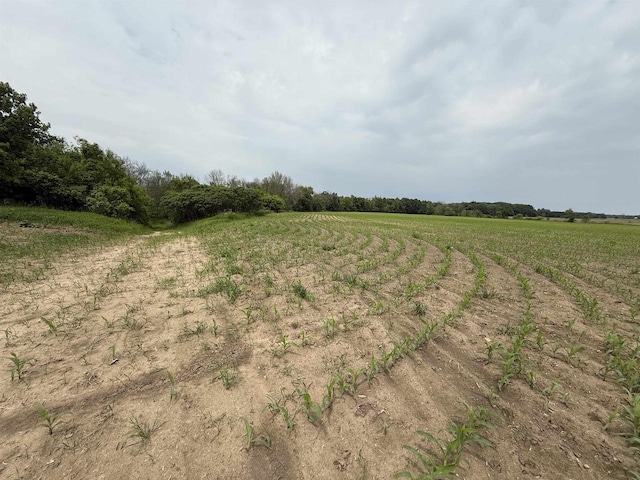 8478 N Brown County Line Rd, Pulaski, WI 54162 - view of nature with rural landscape and large plots for crops