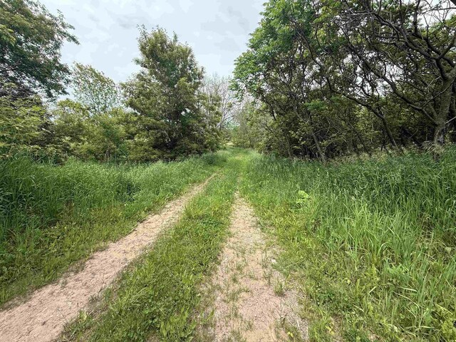 8478 N Brown County Line Rd, Pulaski, WI 54162 - view of nature