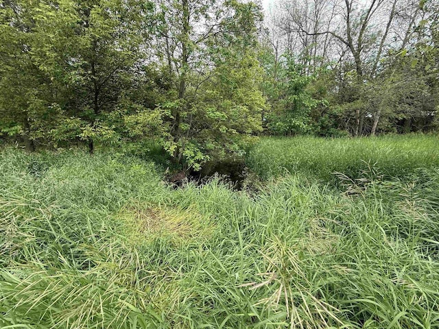8478 N Brown County Line Rd, Pulaski, WI 54162 - view of undeveloped land