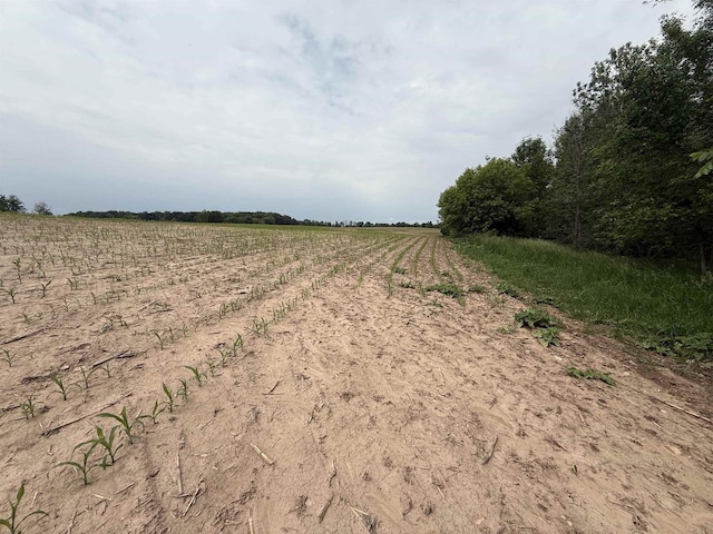 8478 N Brown County Line Rd, Pulaski, WI 54162 - view of yard featuring a rural view and agricultural area