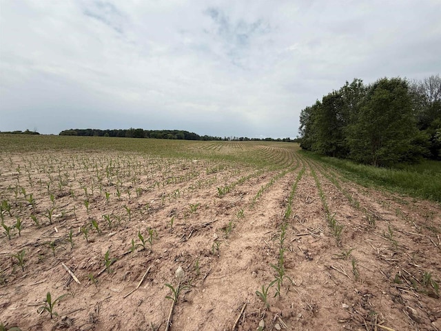 8478 N Brown County Line Rd, Pulaski, WI 54162 - view of nature featuring rural landscape