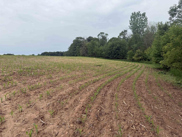 8478 N Brown County Line Rd, Pulaski, WI 54162 - view of nature with rural landscape