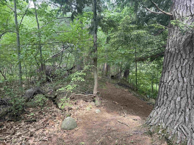 8478 N Brown County Line Rd, Pulaski, WI 54162 - view of tree filled area