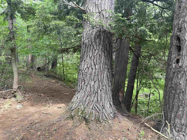 8478 N Brown County Line Rd, Pulaski, WI 54162 - view of tree filled area