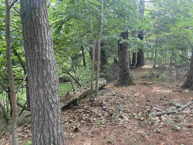 8478 N Brown County Line Rd, Pulaski, WI 54162 - view of tree filled area