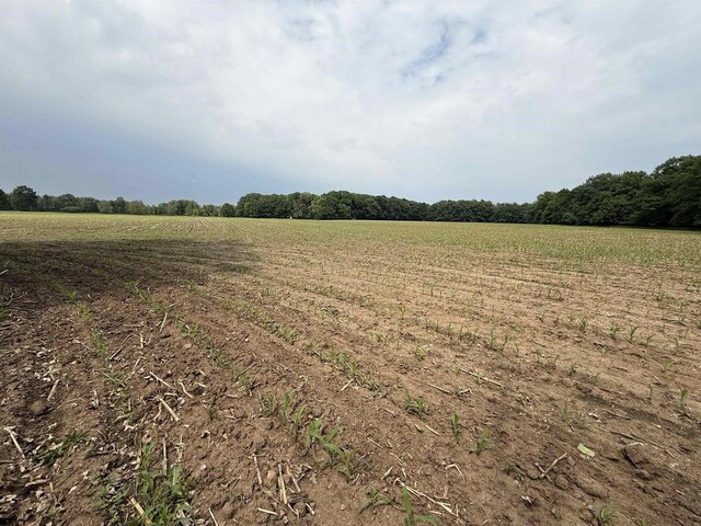 8478 N Brown County Line Rd, Pulaski, WI 54162 - view of nature featuring rural landscape