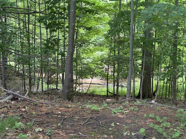 8478 N Brown County Line Rd, Pulaski, WI 54162 - view of tree filled area