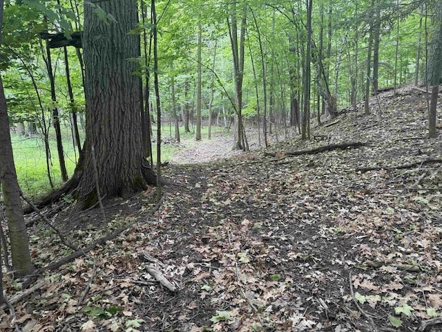 8478 N Brown County Line Rd, Pulaski, WI 54162 - view of wooded area