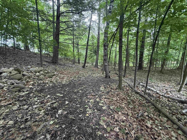 8478 N Brown County Line Rd, Pulaski, WI 54162 - view of woods