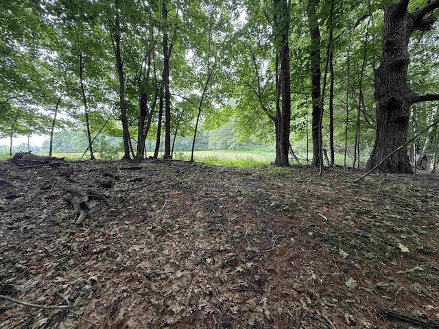 8478 N Brown County Line Rd, Pulaski, WI 54162 - view of nature