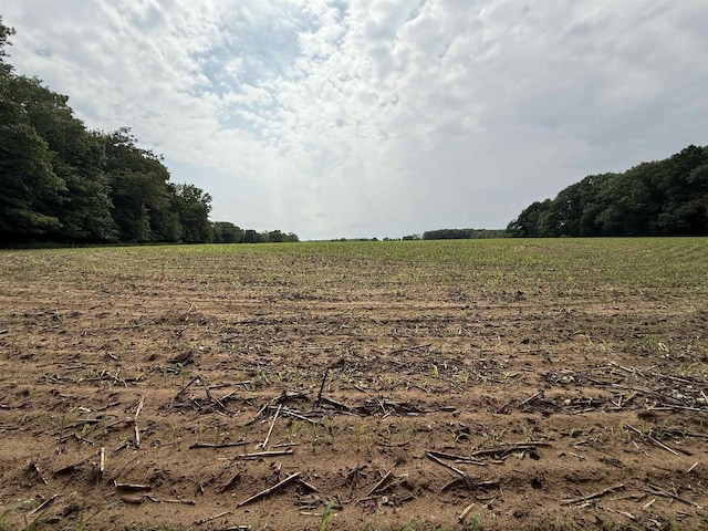 8478 N Brown County Line Rd, Pulaski, WI 54162 - view of local wilderness with rural landscape