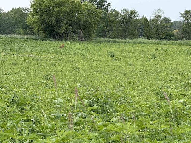 8478 N Brown County Line Rd, Pulaski, WI 54162 - view of undeveloped land