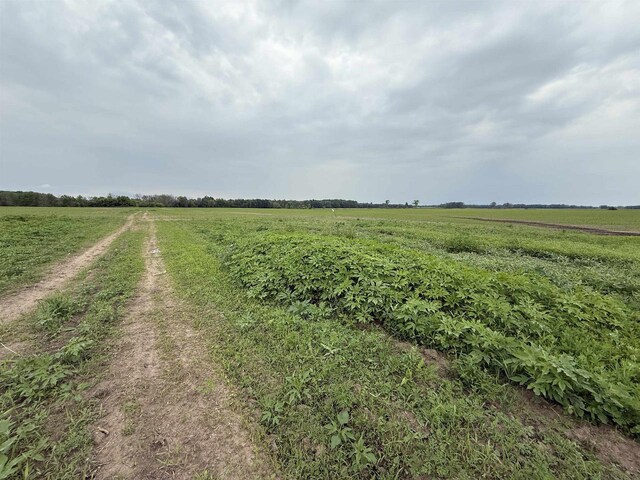 8478 N Brown County Line Rd, Pulaski, WI 54162 - view of street featuring a view of rural / pastoral area