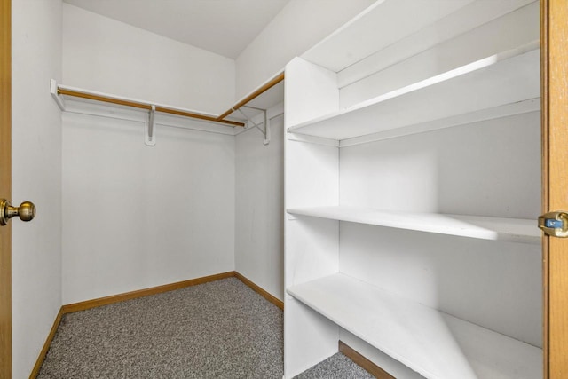 4008 81st St Unit B, Kenosha, WI 53142 - walk in closet featuring carpet flooring