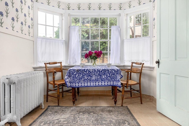 222 N Union St, Appleton, WI 54911 - sunroom / solarium featuring radiator
