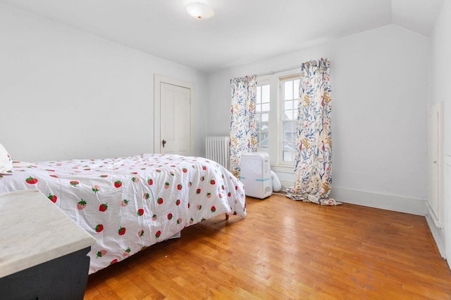 222 N Union St, Appleton, WI 54911 - bedroom with radiator, light wood-style floors, and vaulted ceiling